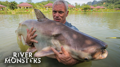 Monstros do Rio T4:E4 - Assassino Asiático