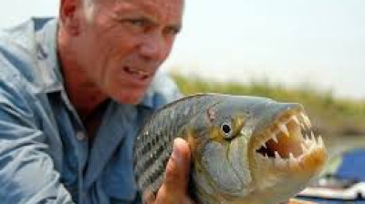 Monstros do Rio T4:E6 - Dentes Afiados