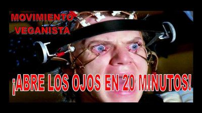 ABRE LOS OJOS EN 20 MINUTOS.