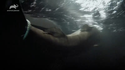 Monstros do Rio T5:E5 - A Lenda do Lago Ness