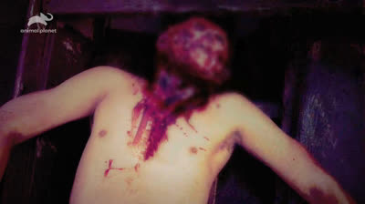 Monstros do Rio T5:E6 - Estripador de Rostos