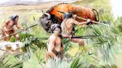 Dans les cuisines de la Préhistoire - Sapiens, l'agriculteur