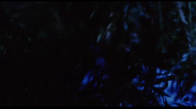 A Árvore da Maldição (1990)