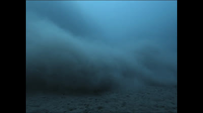 Océano y la pesca irracional