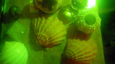 GOOD OLD FASHIONED COOKING WITH MISS GLITTER V.