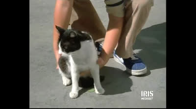 La Famiglia Bradford 03x09 A Briglia Sciolta