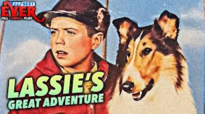 Lassie: Heróis da Montanha (1951) - Dublado ??