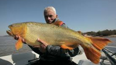 Monstros do Rio T6:E5 - Rio de Sangue