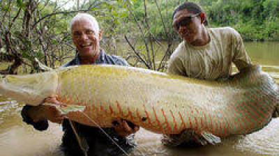 Monstros do Rio T6:E6 - Raptor de Corpos