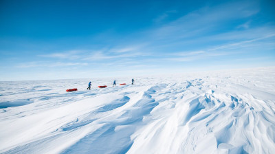 Polheim: Home at the Pole – Trailer