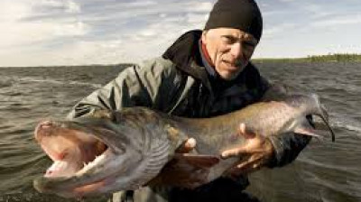 Monstros do Rio T7:E4 - Horror Canadense