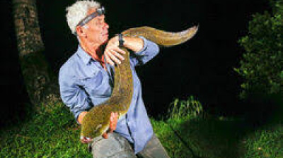 Monstros do Rio T7:E5 - Terror no Pacífico Sul