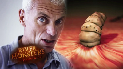 Monstros do Rio T8:E7 - Criaturas Invisíveis