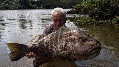 Monstros do Rio T9:E3 - Terror da Ilha Vulcânica