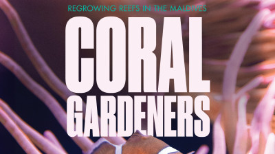 "Coral Gardeners" – Documental completo